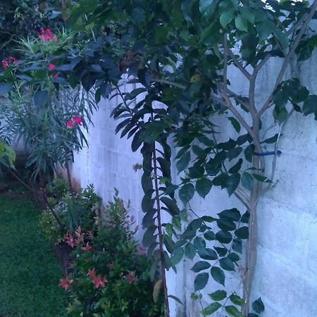 Umaya Holiday Home Anuradhapura Esterno foto