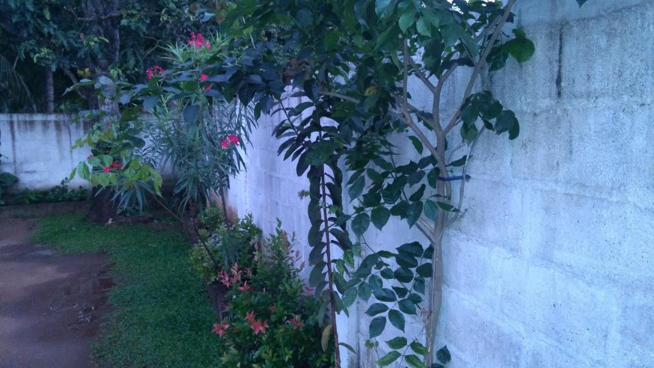 Umaya Holiday Home Anuradhapura Esterno foto
